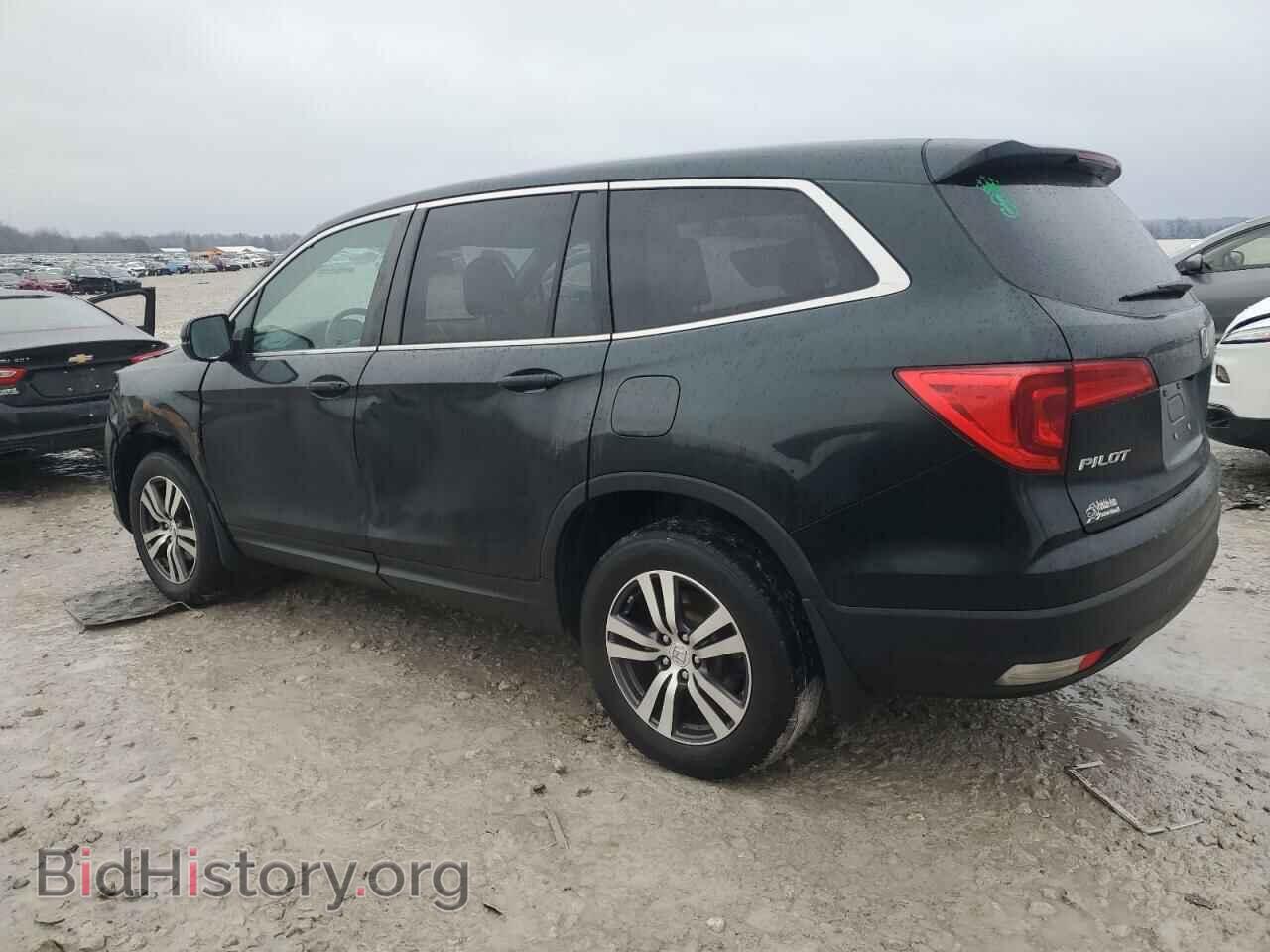 2017 HONDA PILOT - VIN: 5FNYF6H51HB054053 - Фото 2