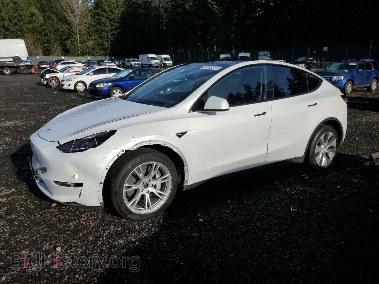 Photo 7SAYGDEE6PF796908 - TESLA MODEL Y 2023