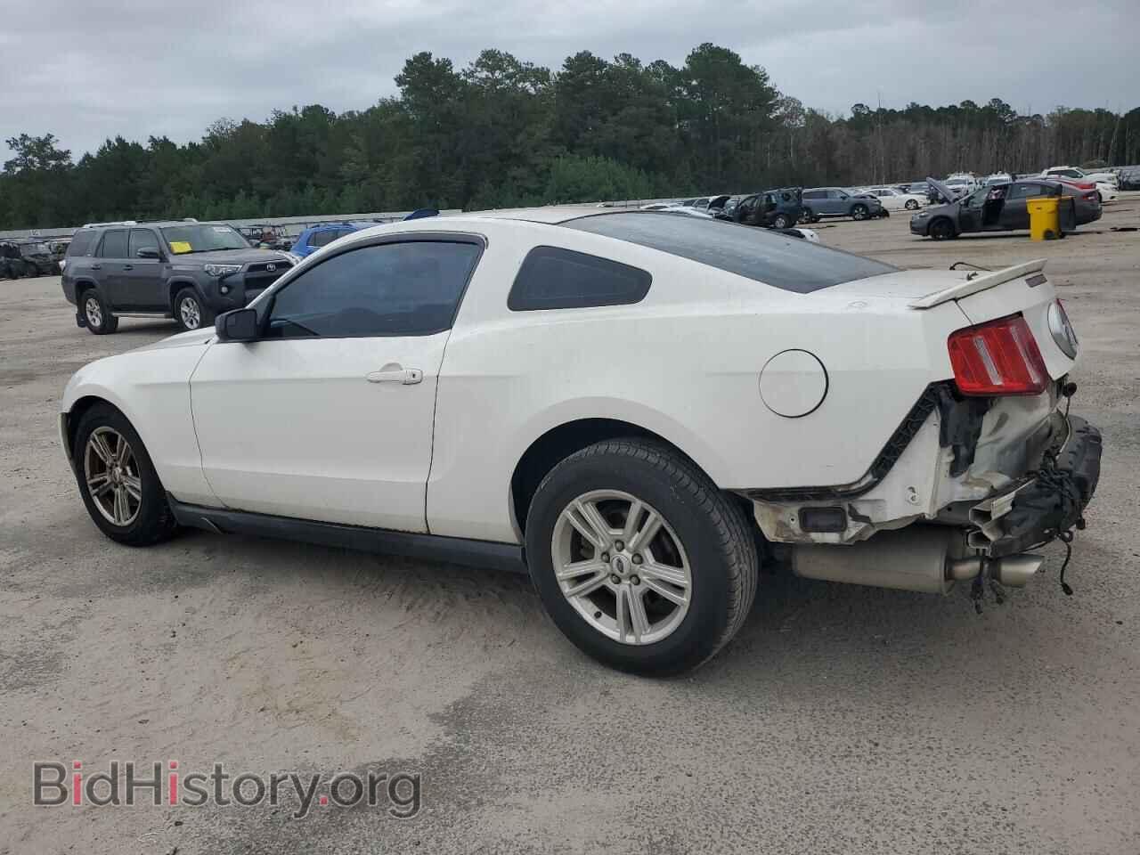 2012 FORD ALL Models - VIN: 1ZVBP8AM5C5261360 - Фото 2