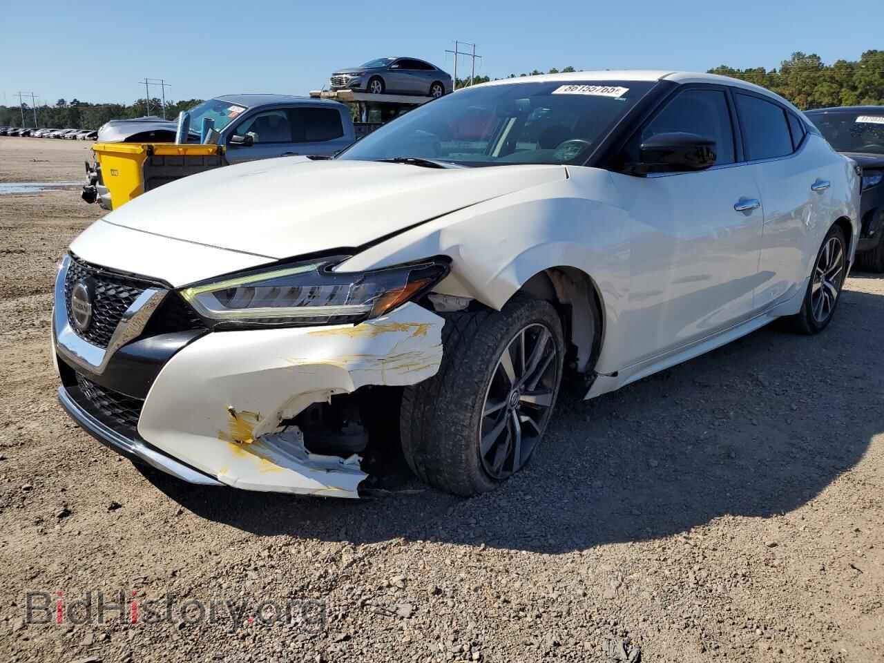 Photo 1N4AA6AV8KC384843 - NISSAN MAXIMA 2019