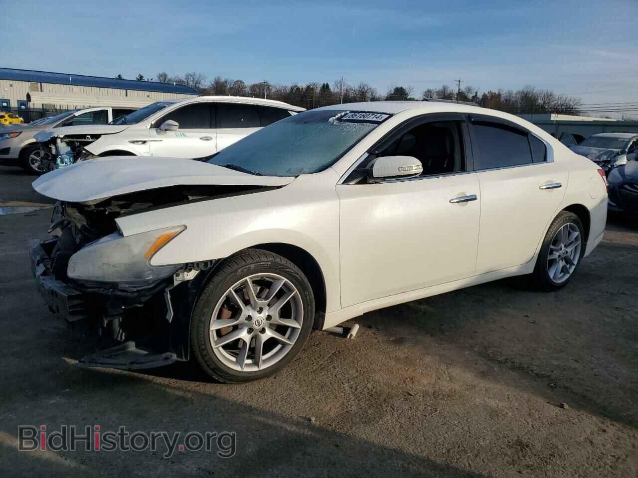 Photo 1N4AA5AP1BC821111 - NISSAN MAXIMA 2011