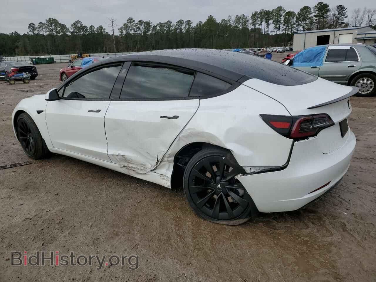 2023 TESLA MODEL 3 - VIN: 5YJ3E1EA1PF494273 - Фото 2