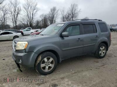 2009 Honda PILOT EX, серый — VIN 5FNYF48489B023931, Copart