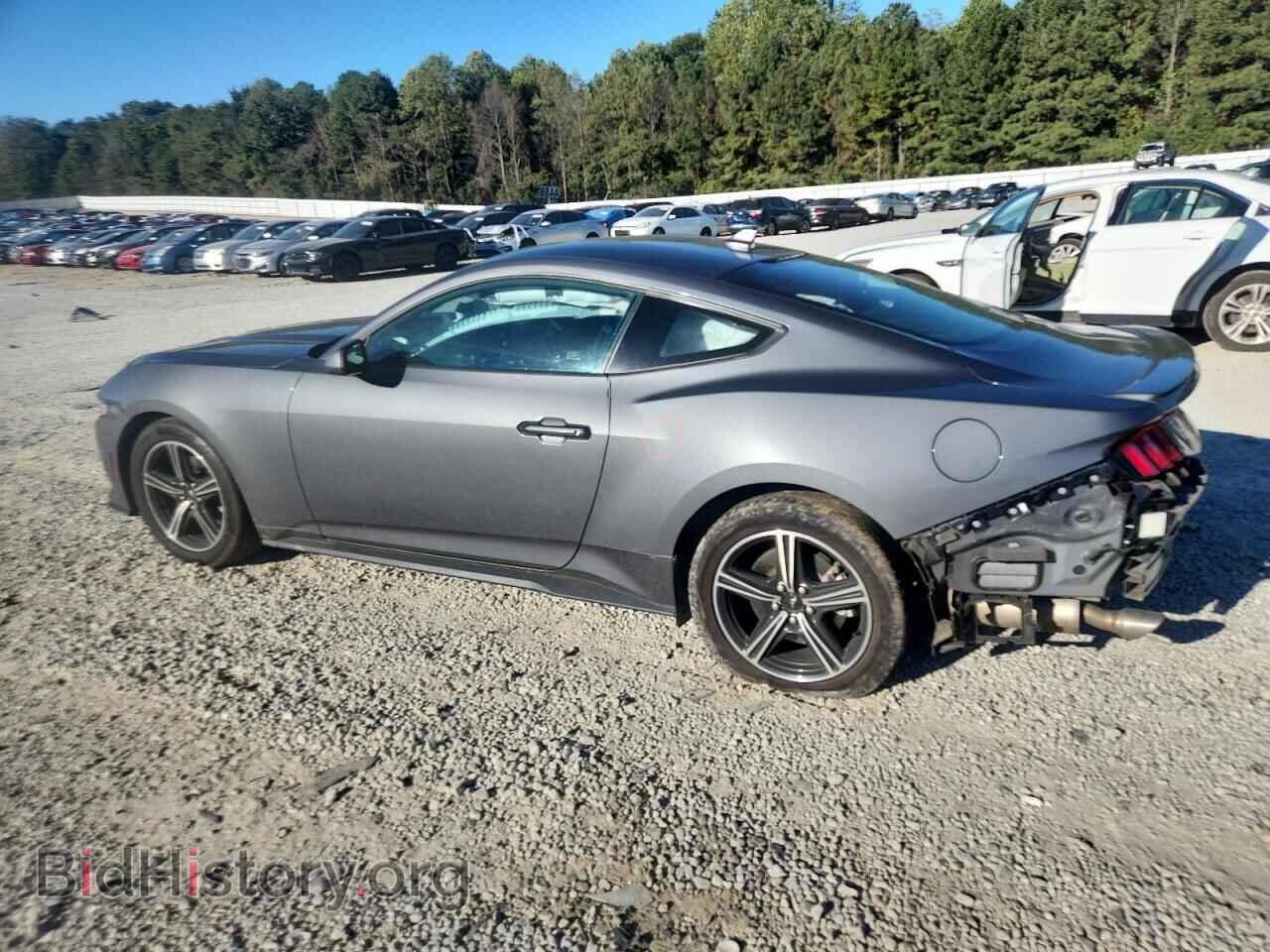 2024 FORD ALL Models - VIN: 1FA6P8TH7R5125184 - Фото 2