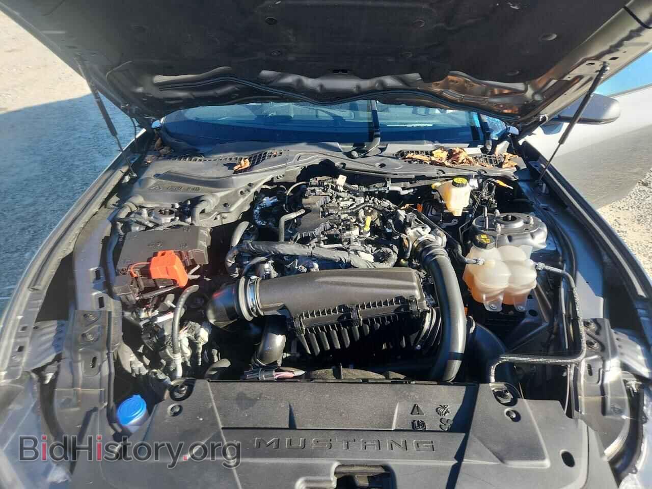 2024 FORD ALL Models - VIN: 1FA6P8TH7R5125184 - Фото 11