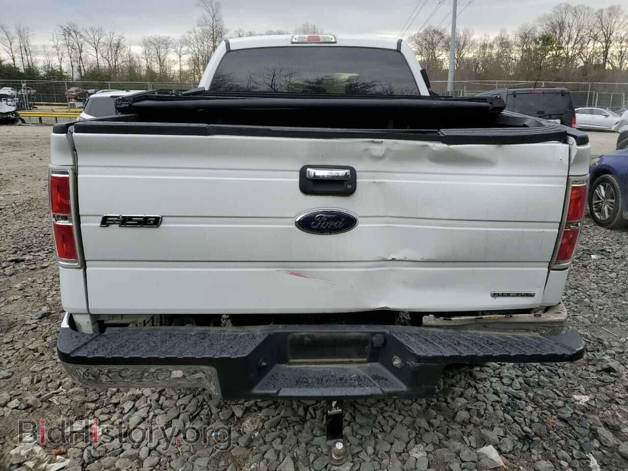 2013 FORD F-150 - VIN: 1FTFX1EF0DFB73500 - Фото 6