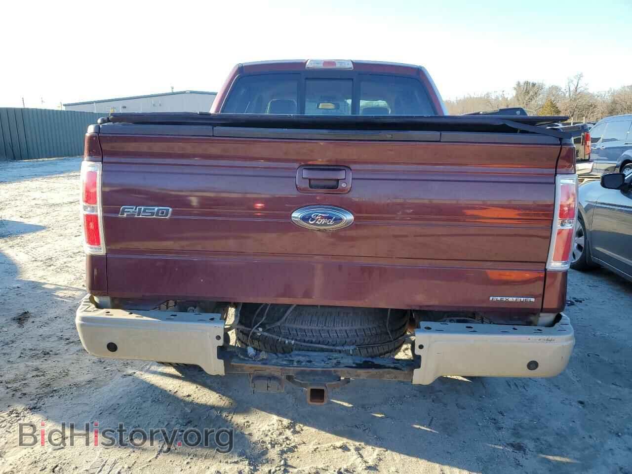 2010 FORD F-150 - VIN: 1FTFW1EV7AFD15847 - Фото 6