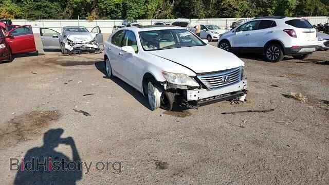 2010 LEXUS LS460 - VIN: JTHBL5EF3A5101692 - Фото 14