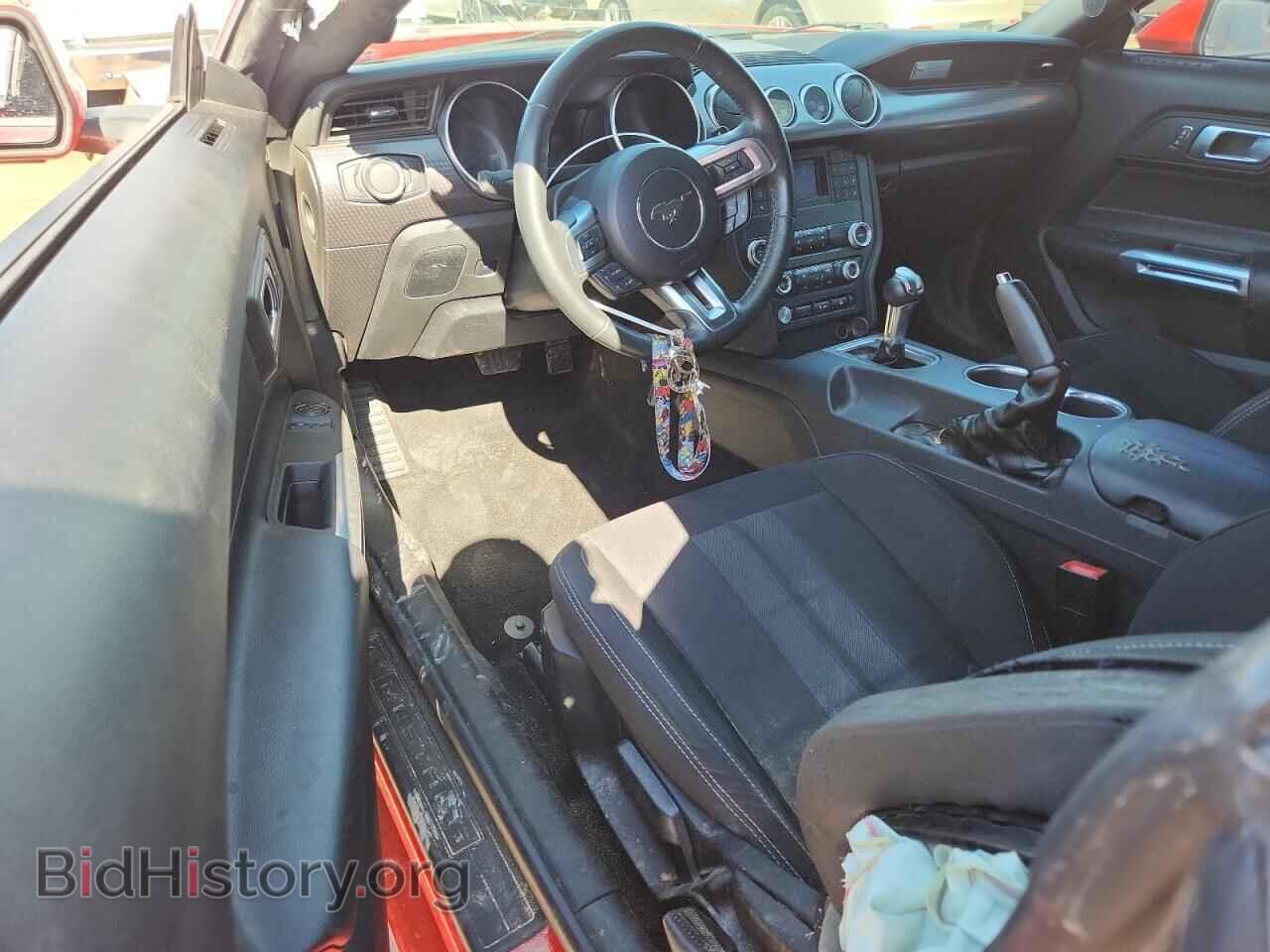 2019 FORD ALL Models - VIN: 1FA6P8TH5K5118627 - Photo 8