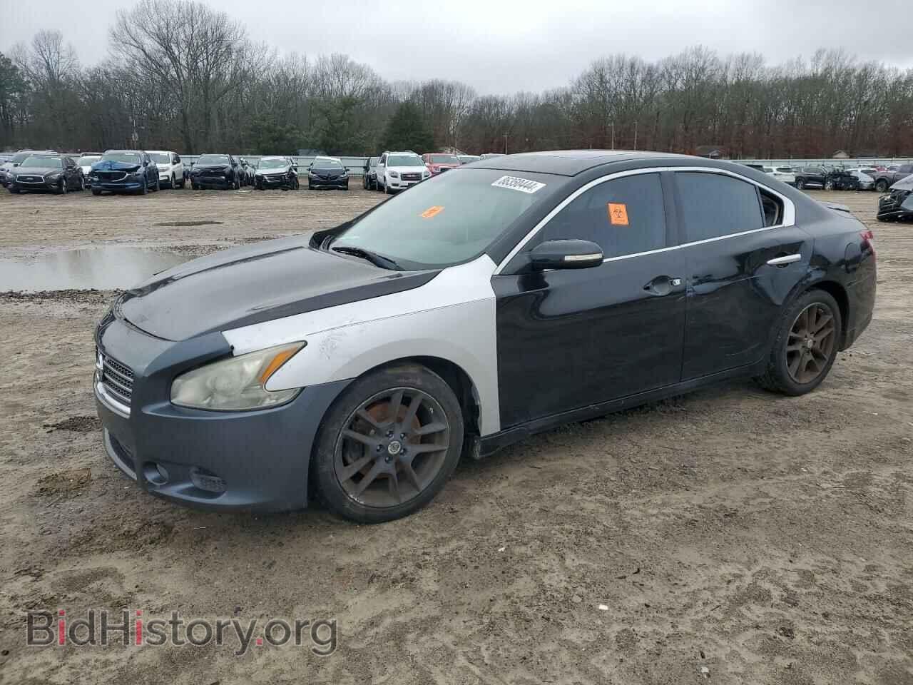 Фотография 1N4AA5AP9AC874184 - NISSAN MAXIMA 2010