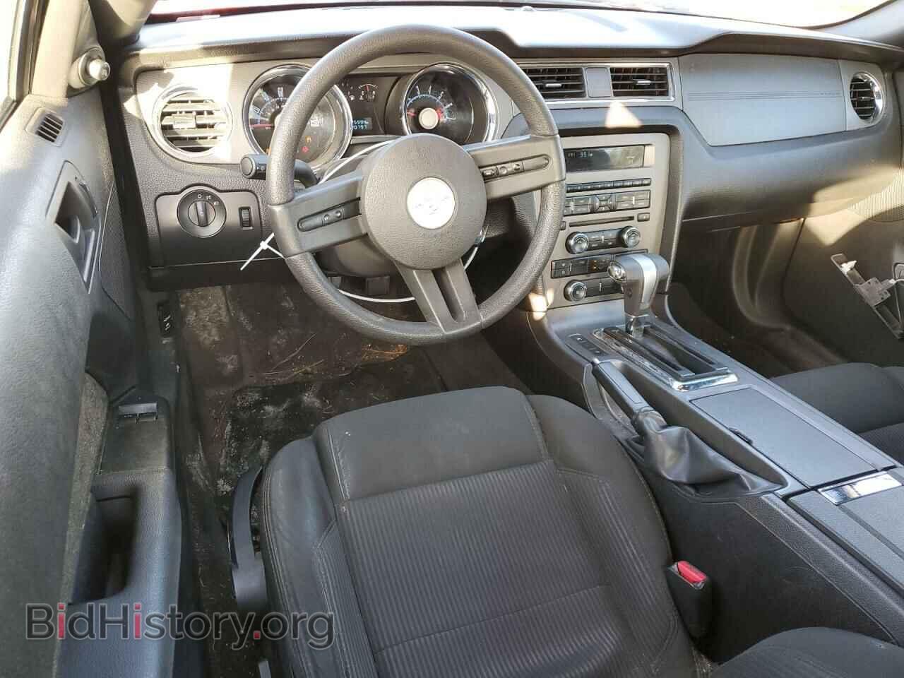 2010 FORD ALL Models - VIN: 1ZVBP8AN7A5163405 - Фото 8
