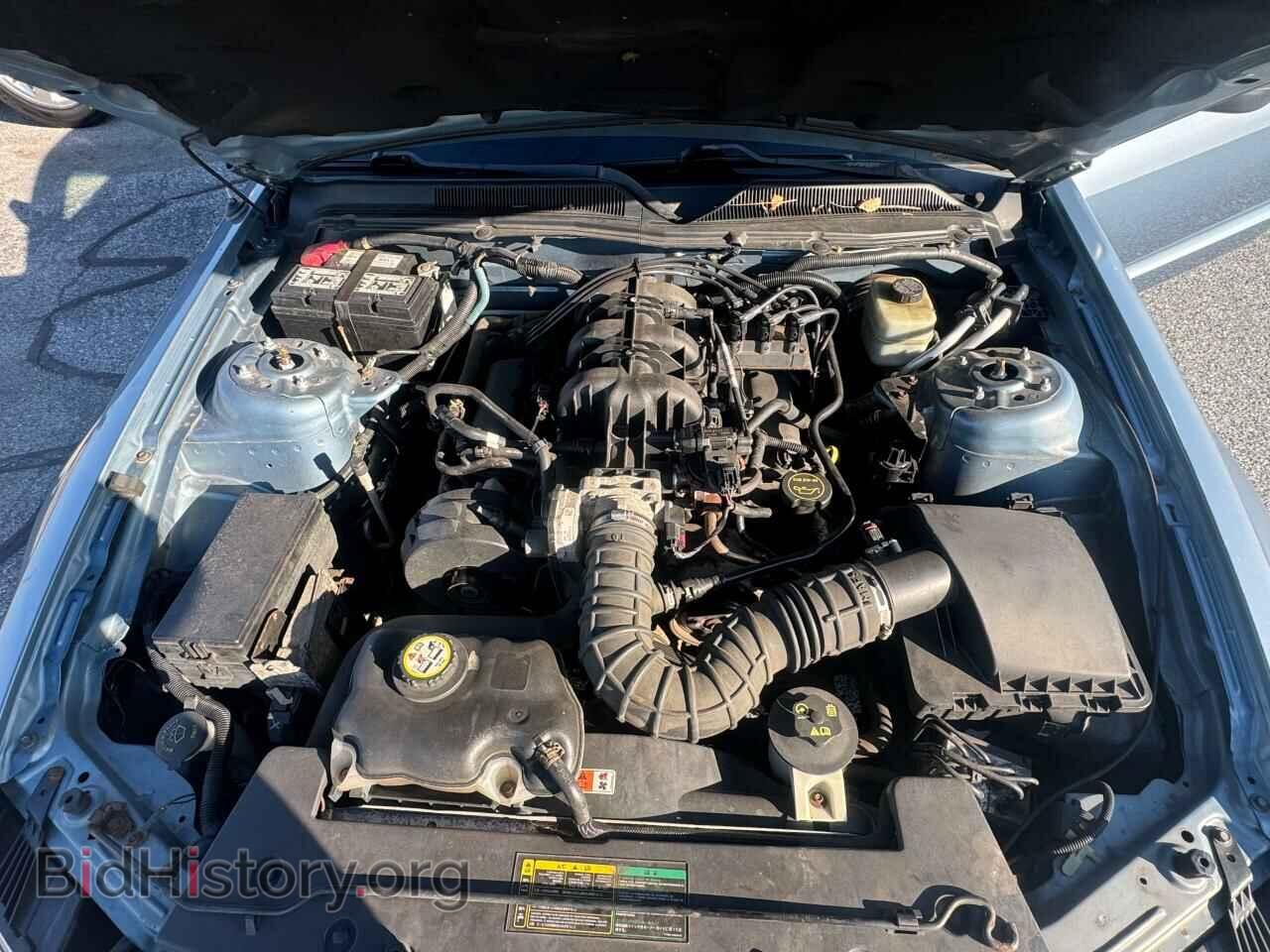 2005 FORD ALL Models - VIN: 1ZVFT80N855194392 - Фото 7