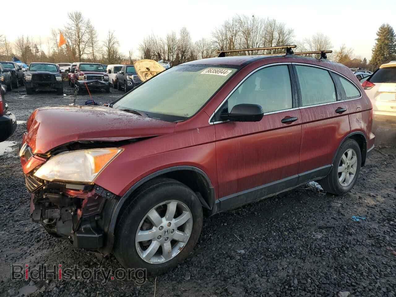 Фотография JHLRE483X8C069189 - HONDA CRV 2008