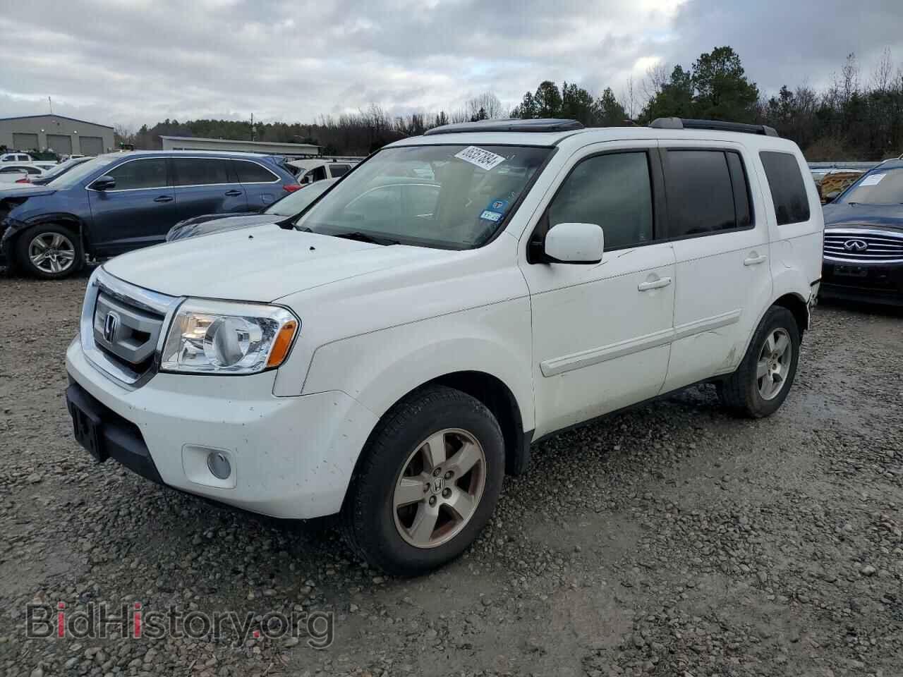 Photo 5FNYF3H73BB032174 - HONDA PILOT 2011