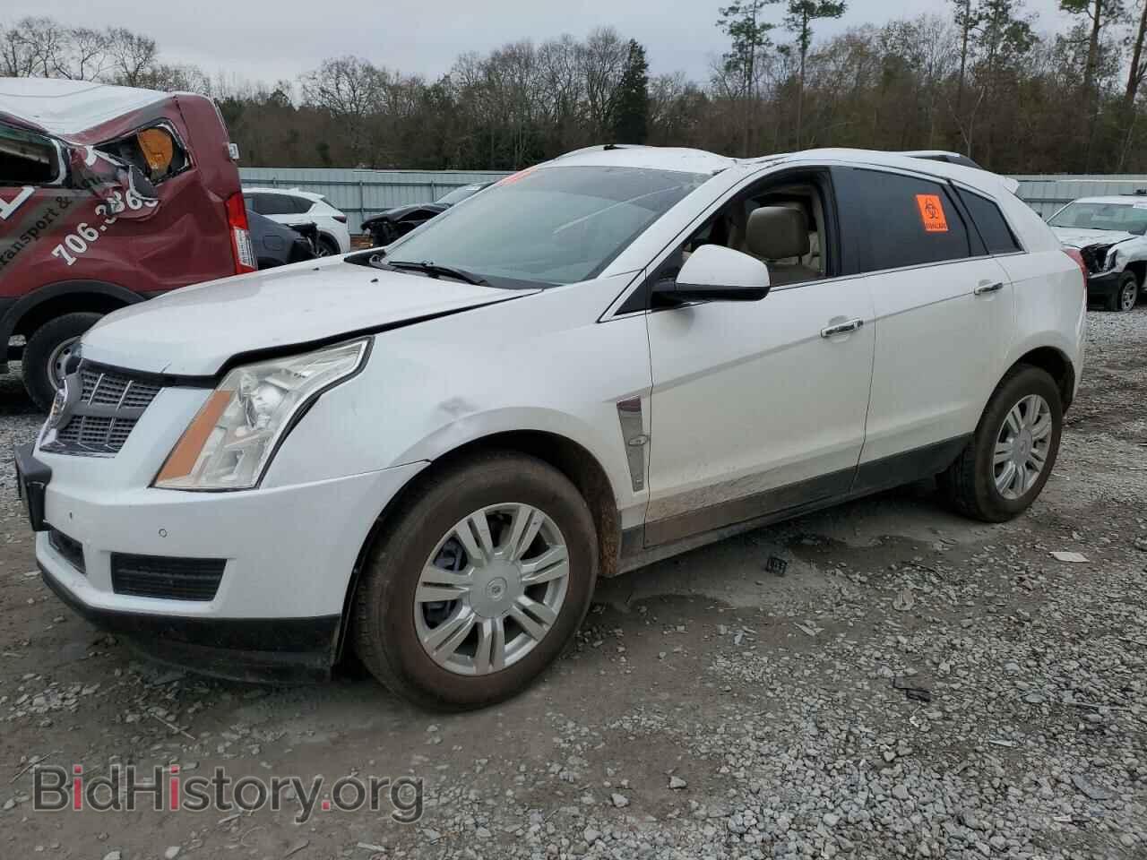 Photo 3GYFNAEY0BS636004 - CADILLAC SRX 2011