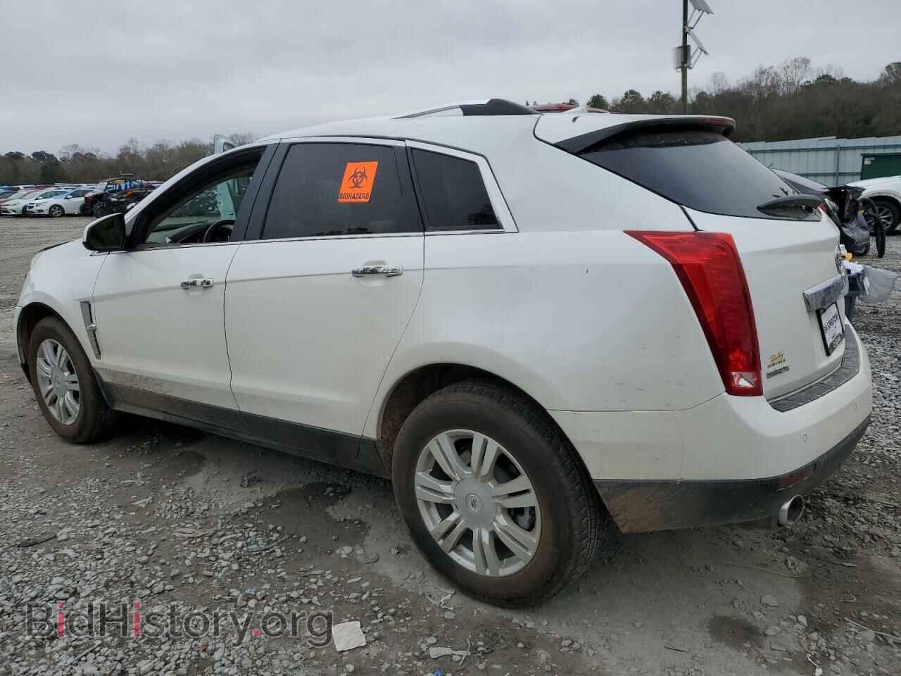 2011 CADILLAC SRX - VIN: 3GYFNAEY0BS636004 - Фото 2
