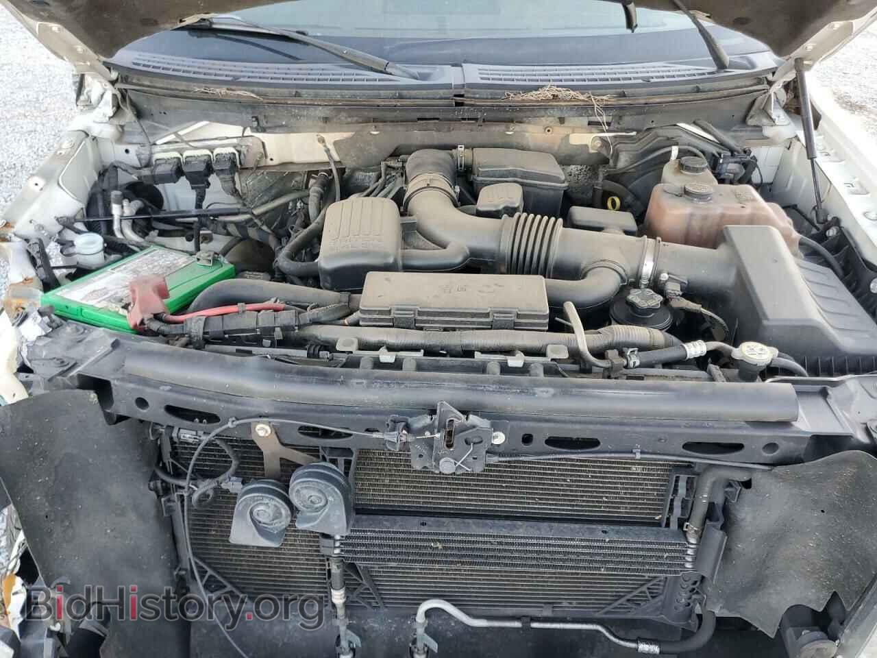 2010 FORD F-150 - VIN: 1FTFW1EV5AFD70944 - Фото 11