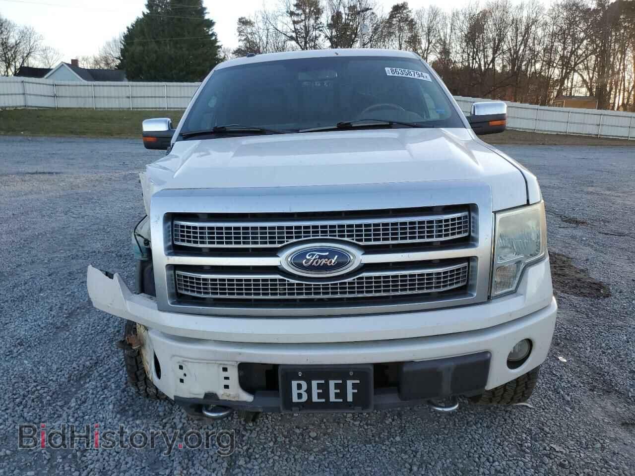 2010 FORD F-150 - VIN: 1FTFW1EV5AFD70944 - Фото 5