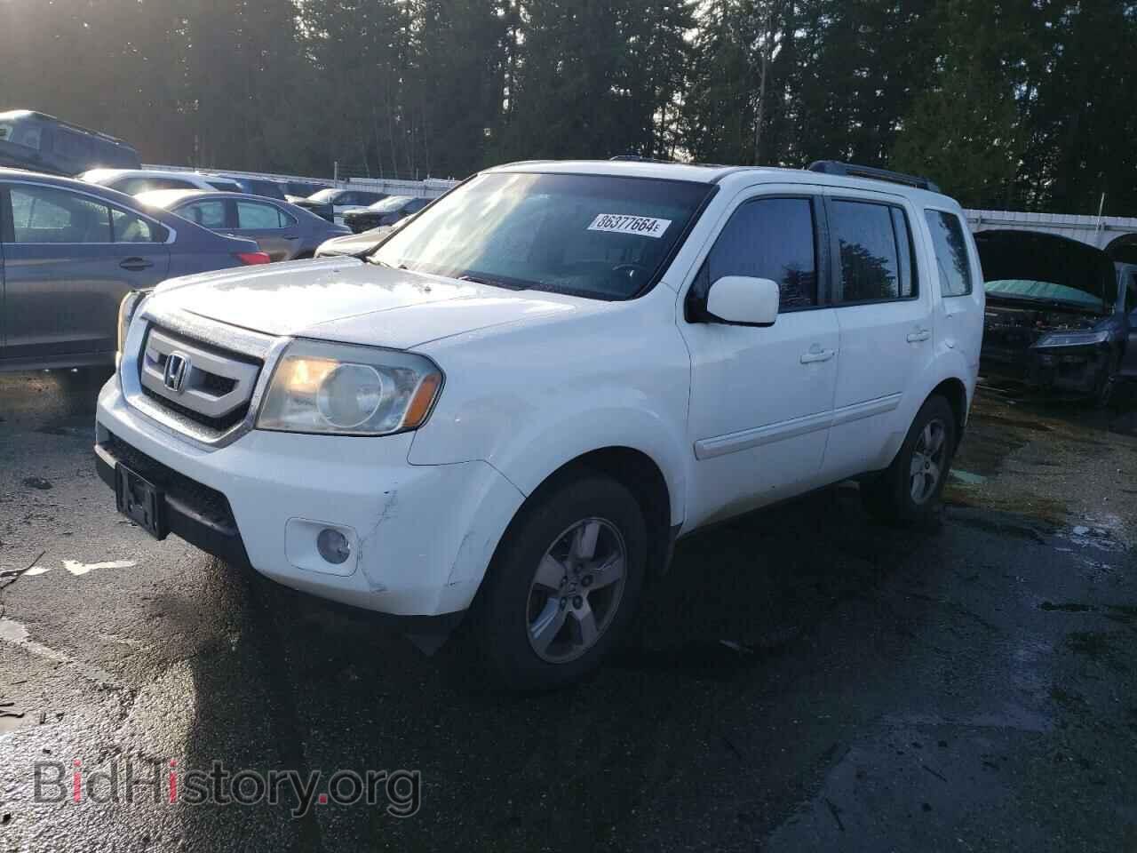 Фотография 5FNYF48559B042879 - HONDA PILOT 2009