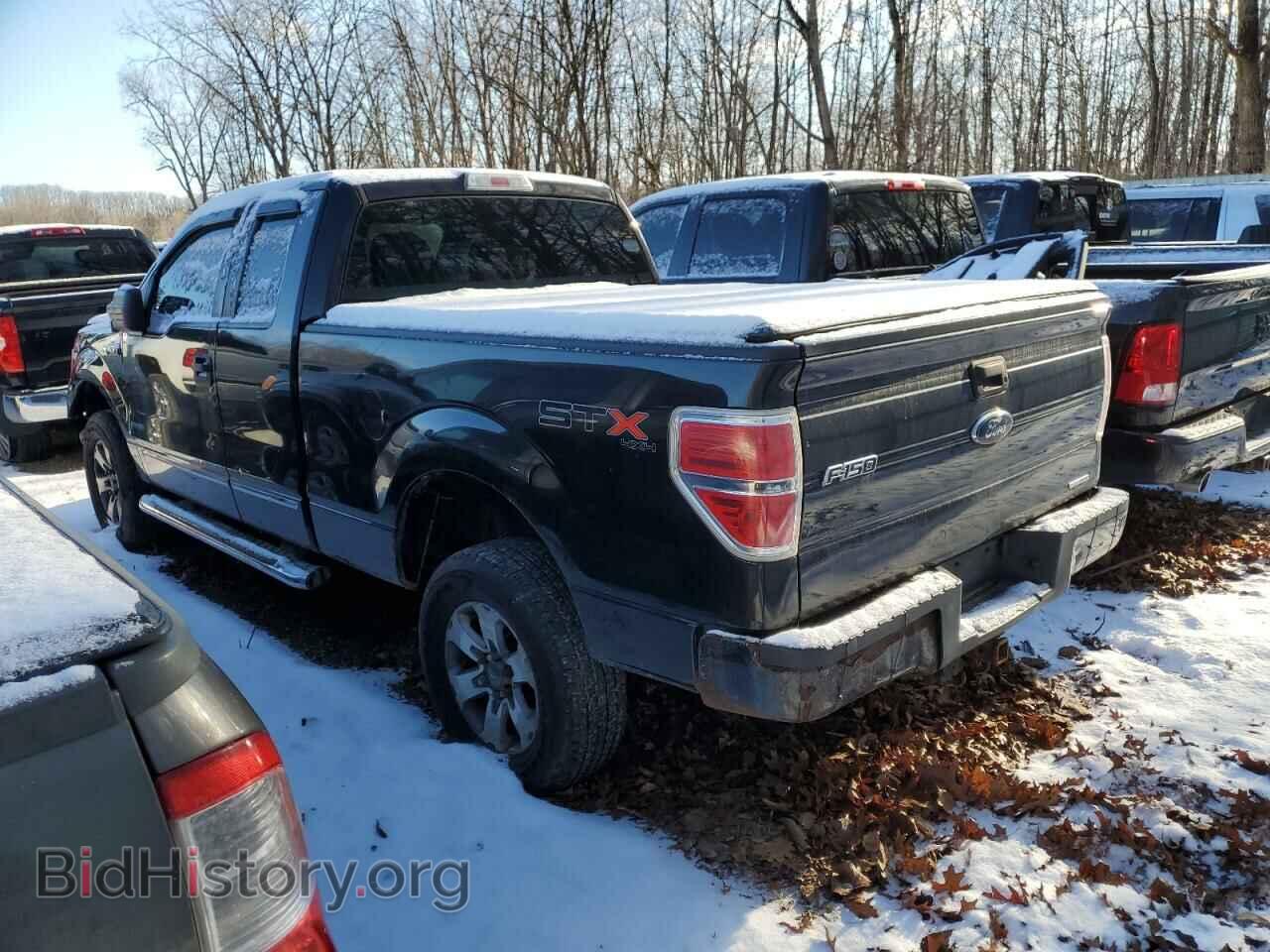 2013 FORD F-150 - VIN: 1FTFX1EF2DFC61013 - Фото 2