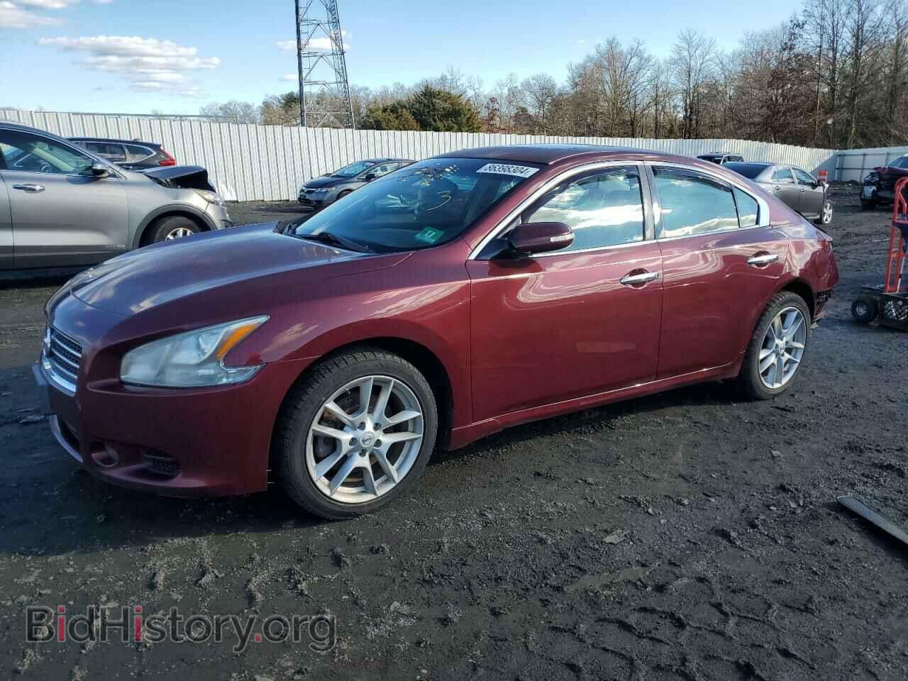 Фотография 1N4AA5AP0AC835337 - NISSAN MAXIMA 2010