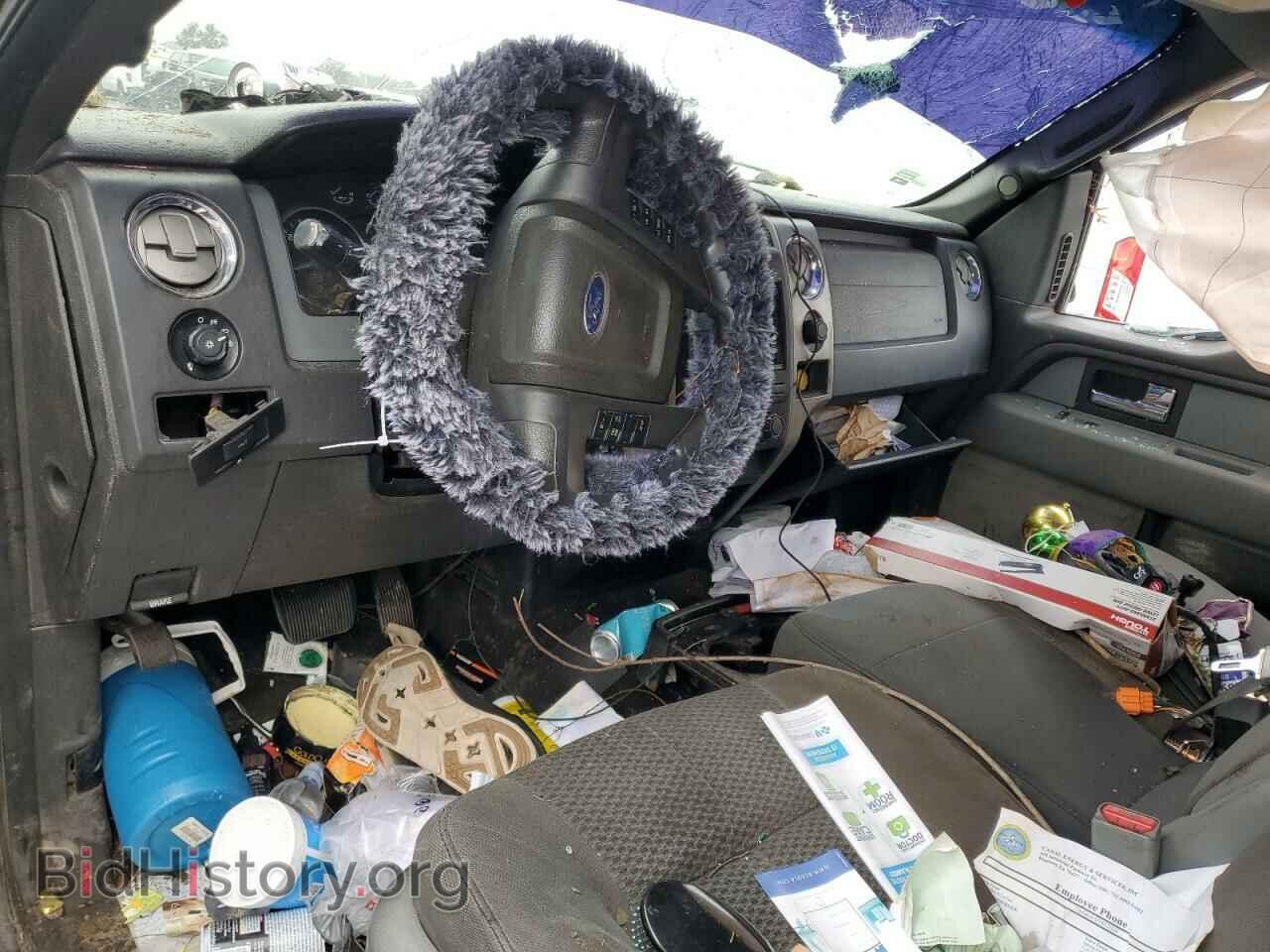 2013 FORD F-150 - VIN: 1FTFW1CF9DFB53896 - Фото 8