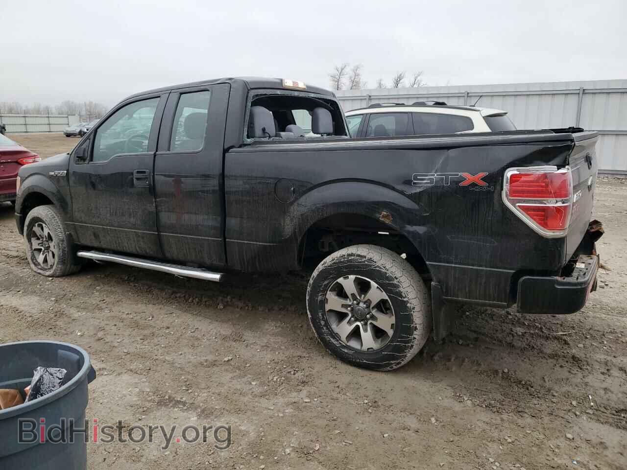 2013 FORD F-150 - VIN: 1FTFX1EF7DFA23738 - Фото 2