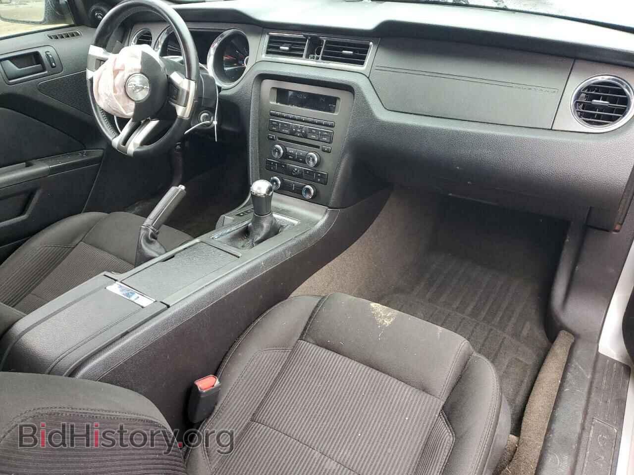 2013 FORD MUSTANG - VIN: 1ZVBP8CF8D5264060 - Фото 8