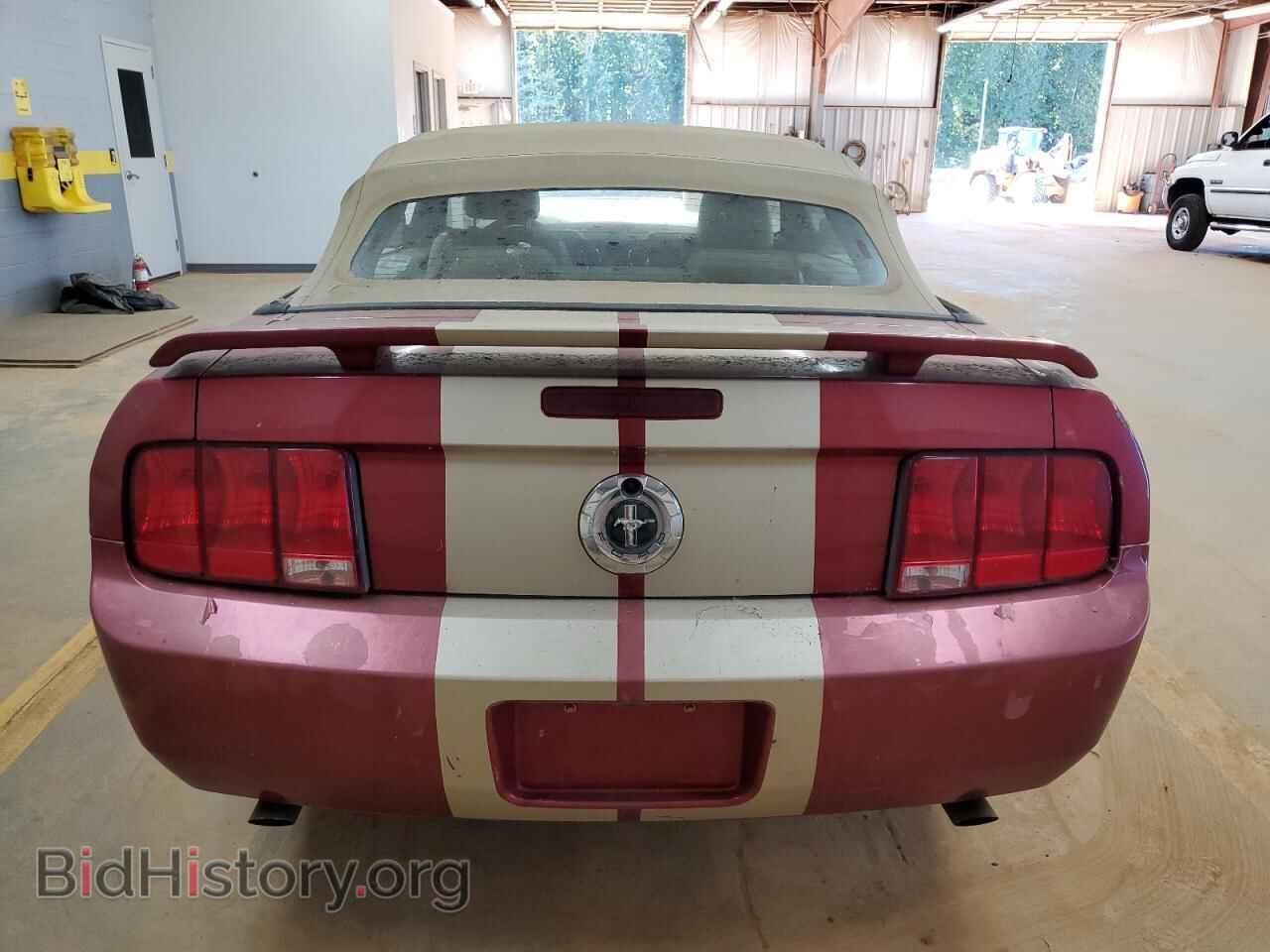 2005 FORD ALL Models - VIN: 1ZVFT84N155197242 - Фото 6