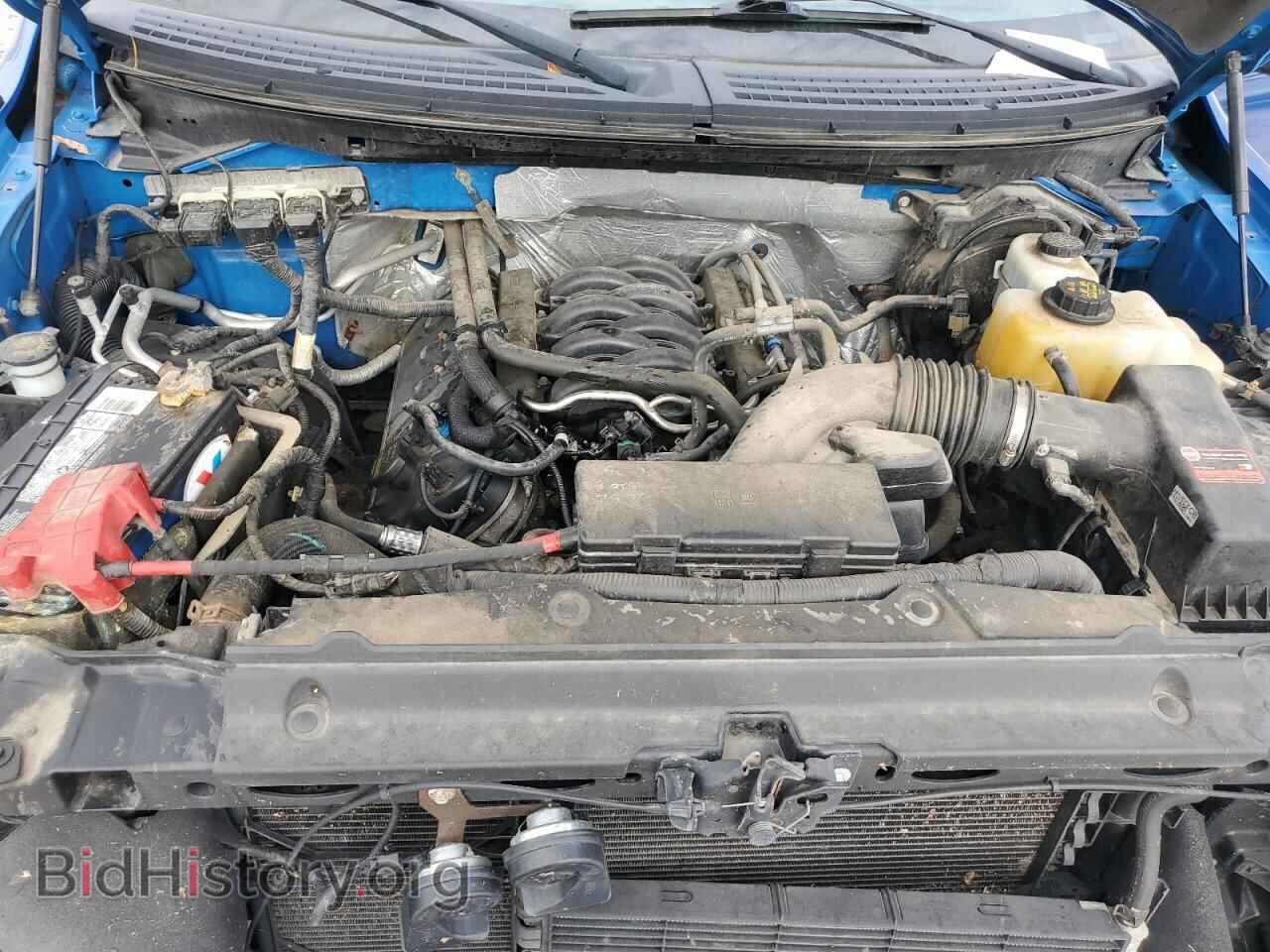 2013 FORD F-150 - VIN: 1FTFX1EF7DFD25224 - Фото 11