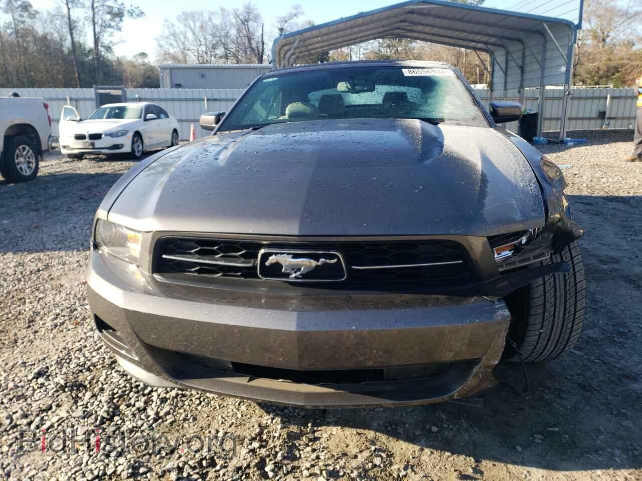 2011 FORD MUSTANG - VIN: 1ZVBP8EM4B5156866 - Фото 5