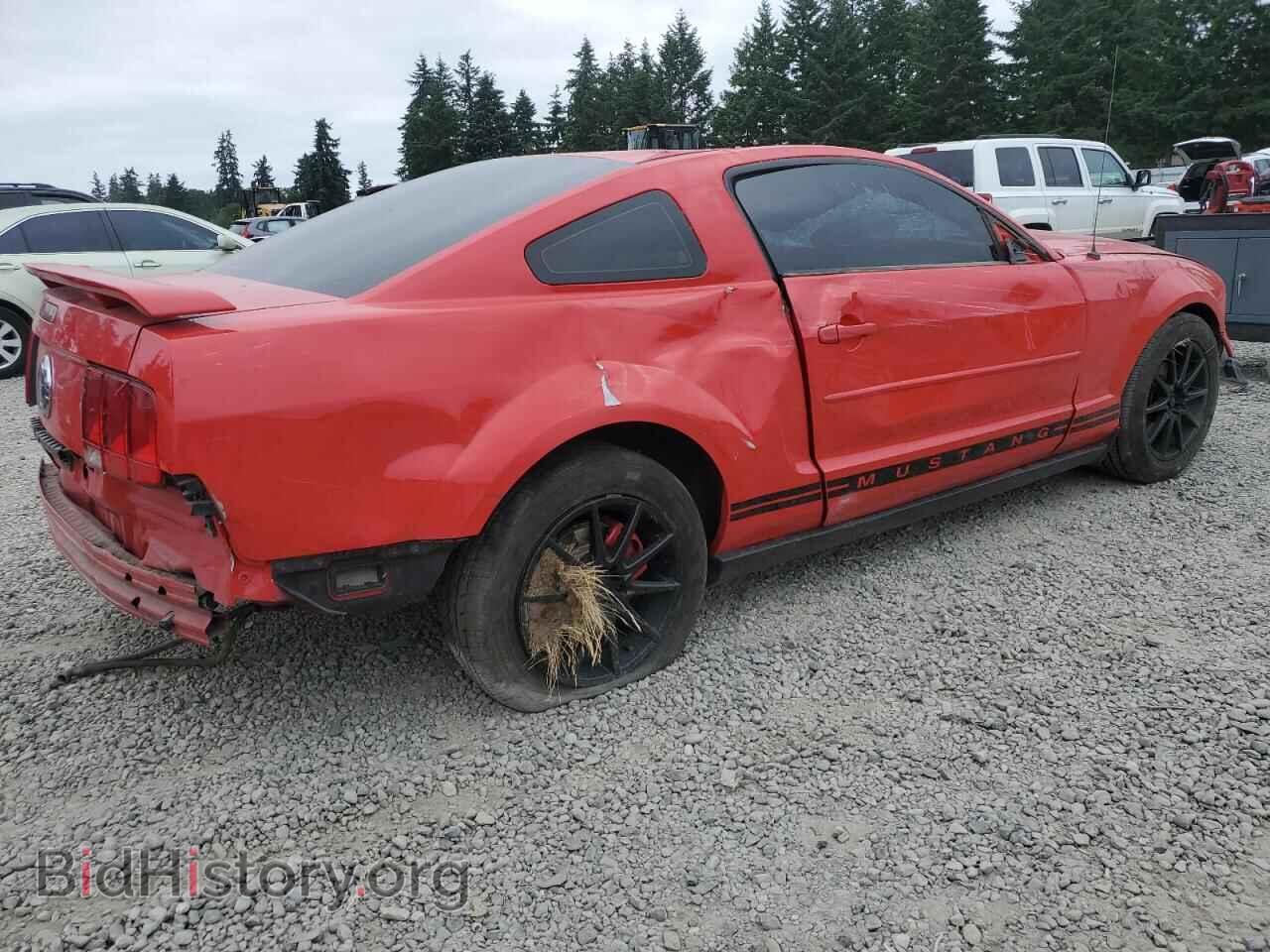 2005 FORD ALL Models - VIN: 1ZVFT80N455214248 - Фото 3