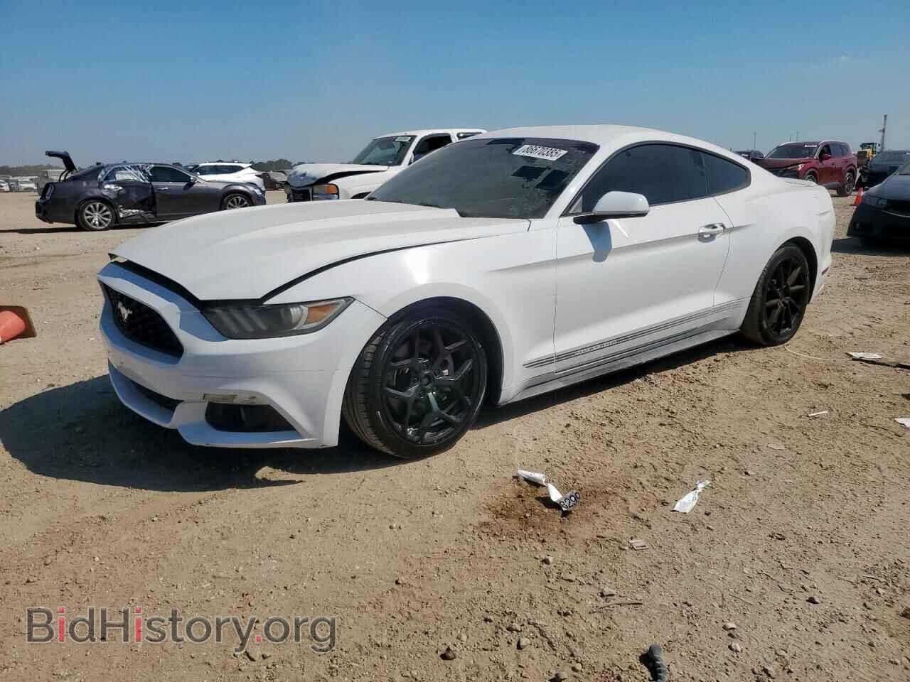 Фотография 1FA6P8TH4H5226813 - FORD ALL Models 2017
