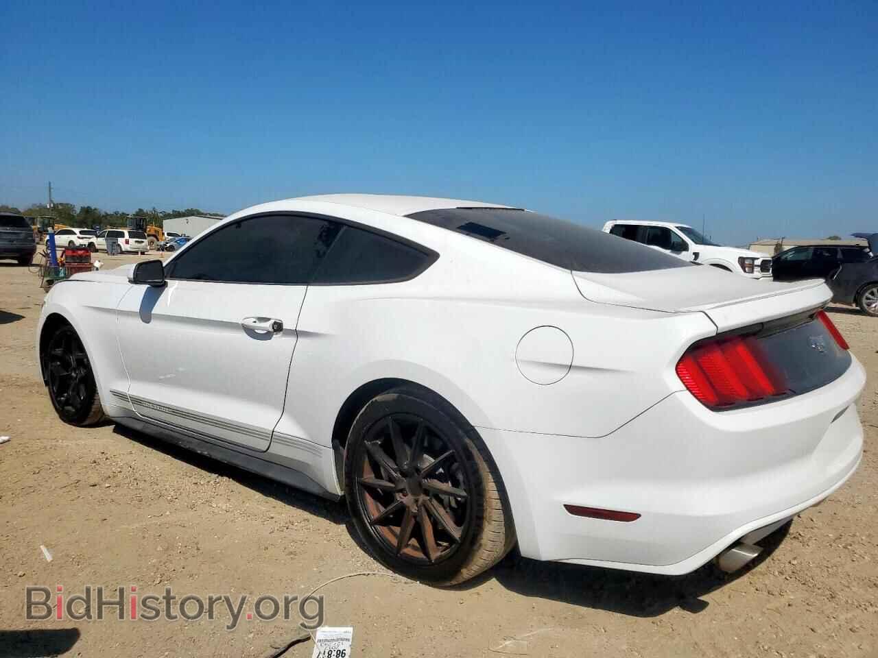 2017 FORD ALL Models - VIN: 1FA6P8TH4H5226813 - Photo 2