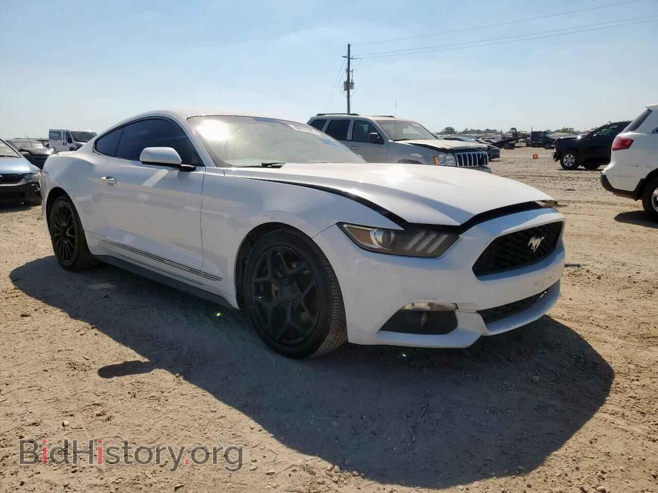 2017 FORD ALL Models - VIN: 1FA6P8TH4H5226813 - Photo 4