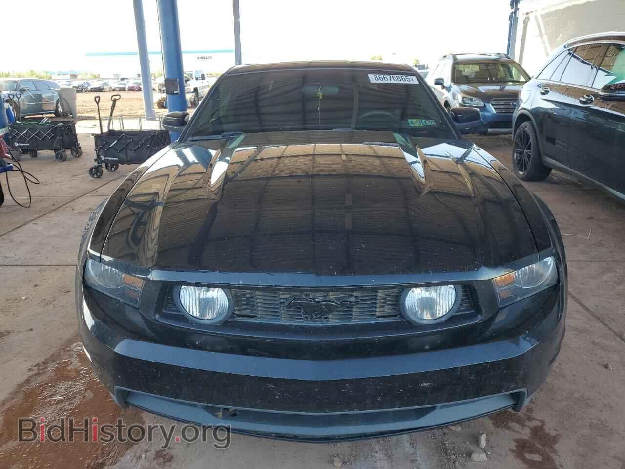 2010 FORD MUSTANG - VIN: 1ZVBP8CH2A5150357 - Фото 5