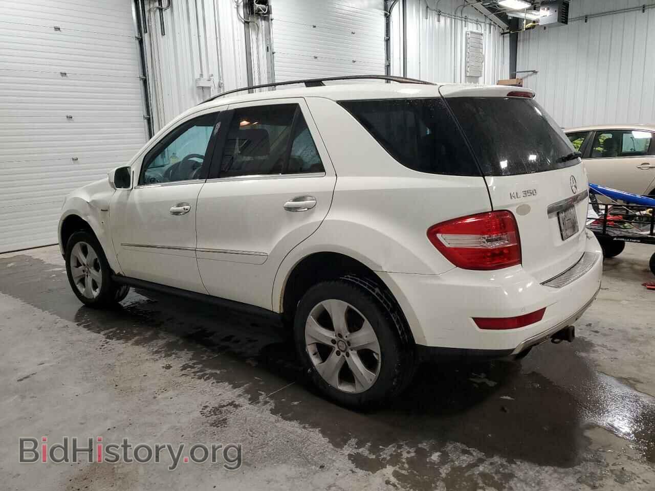 2010 MERCEDES-BENZ M-CLASS - VIN: 4JGBB2FB9AA609246 - Фото 2