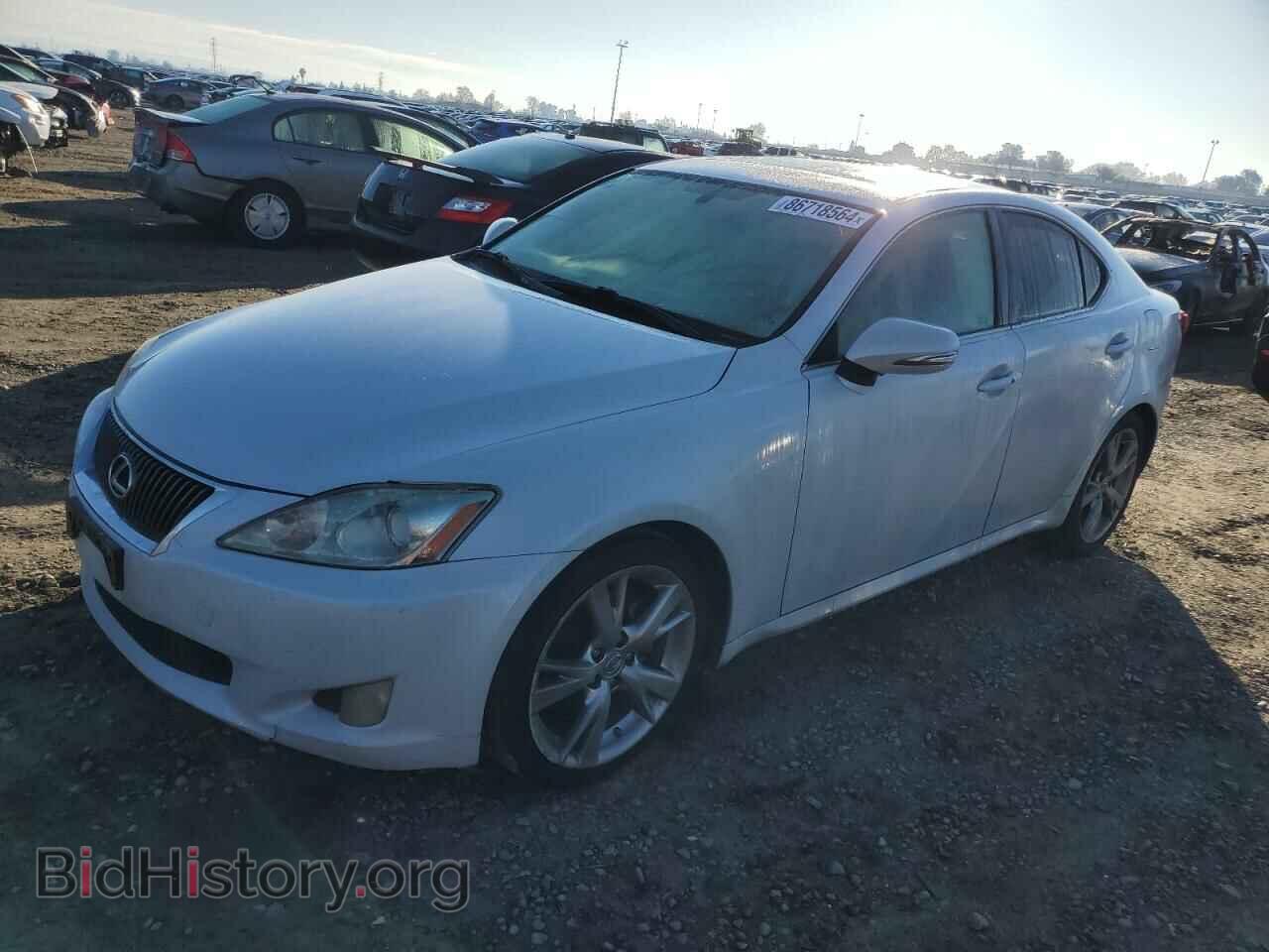 Фотография JTHBK262592086574 - LEXUS IS 2009