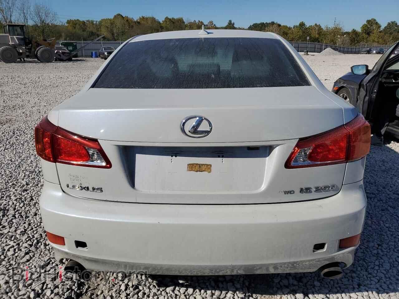 2009 LEXUS IS - VIN: JTHCK262395031365 - Фото 6