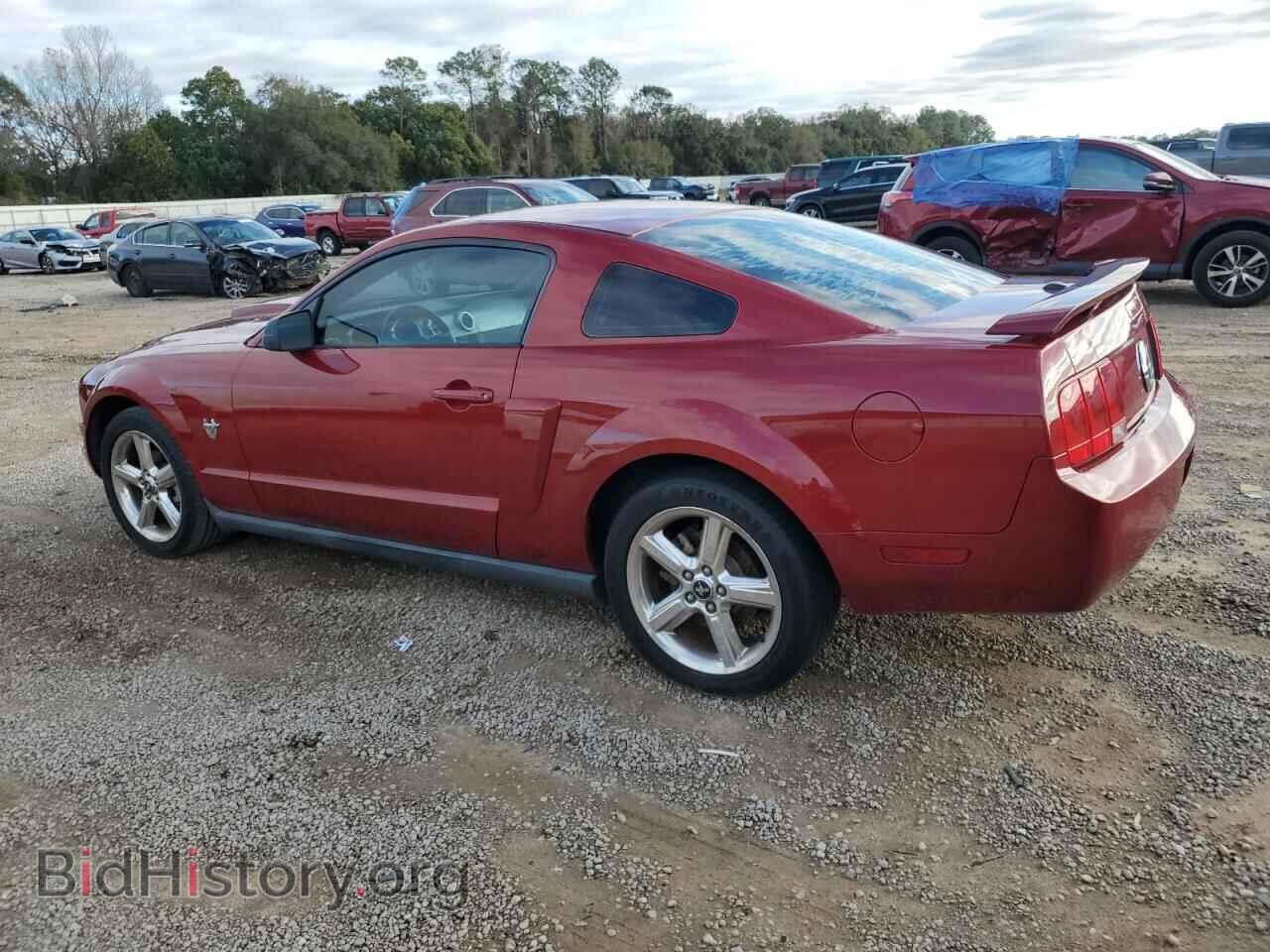 2009 FORD ALL Models - VIN: 1ZVHT80N095144195 - Фото 2