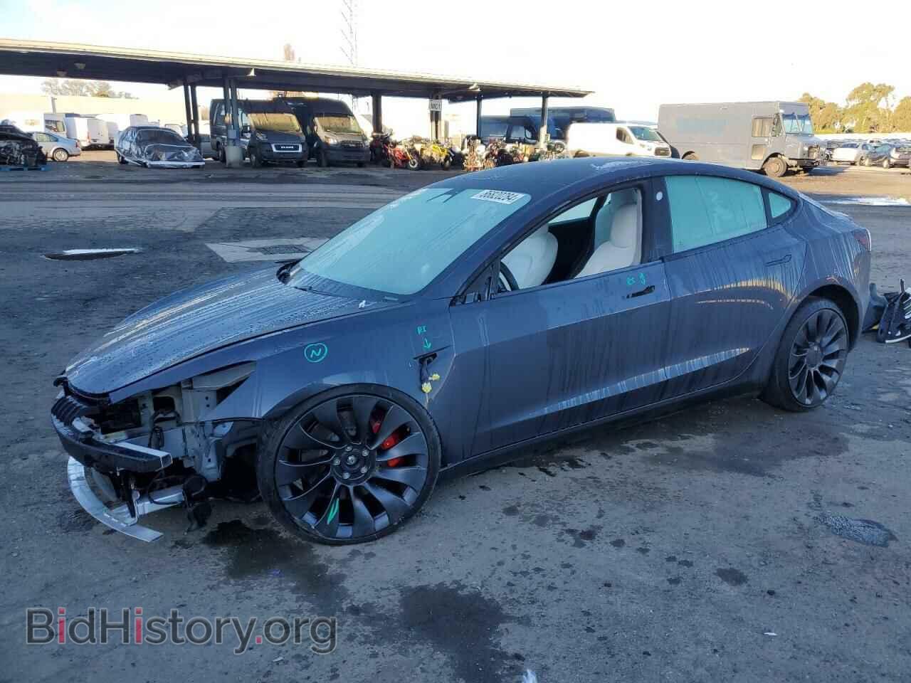 Photo 5YJ3E1EC4MF076688 - TESLA MODEL 3 2021
