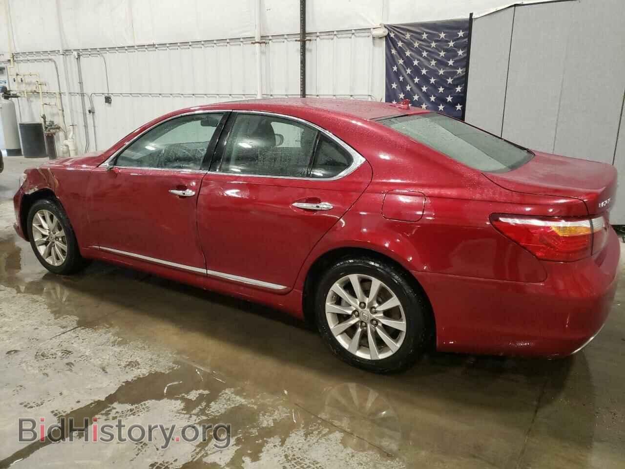 2010 LEXUS LS460 - VIN: JTHCL5EF8A5005481 - Фото 2