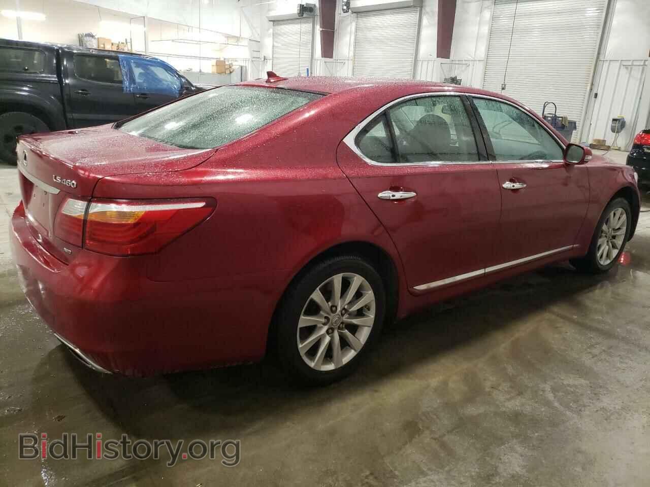 2010 LEXUS LS460 - VIN: JTHCL5EF8A5005481 - Фото 3