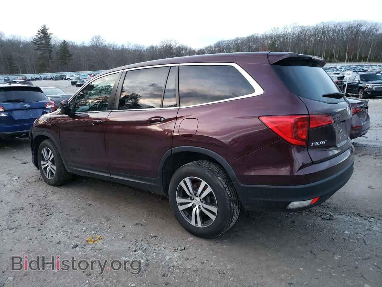 2017 HONDA PILOT - VIN: 5FNYF6H57HB011076 - Фото 2