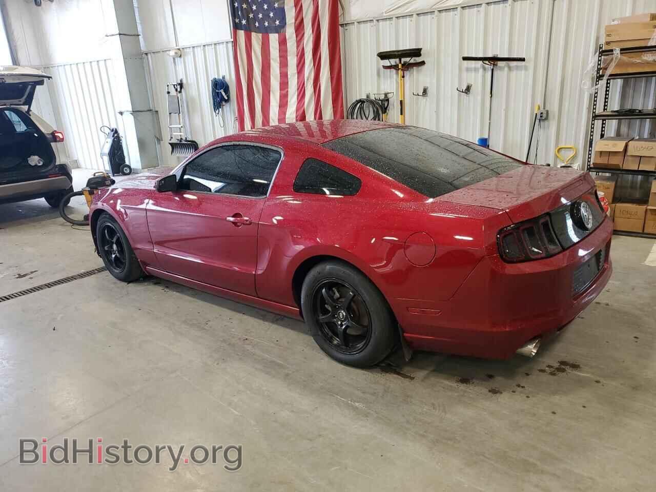 2014 FORD ALL Models - VIN: 1ZVBP8AM9E5315567 - Фото 2