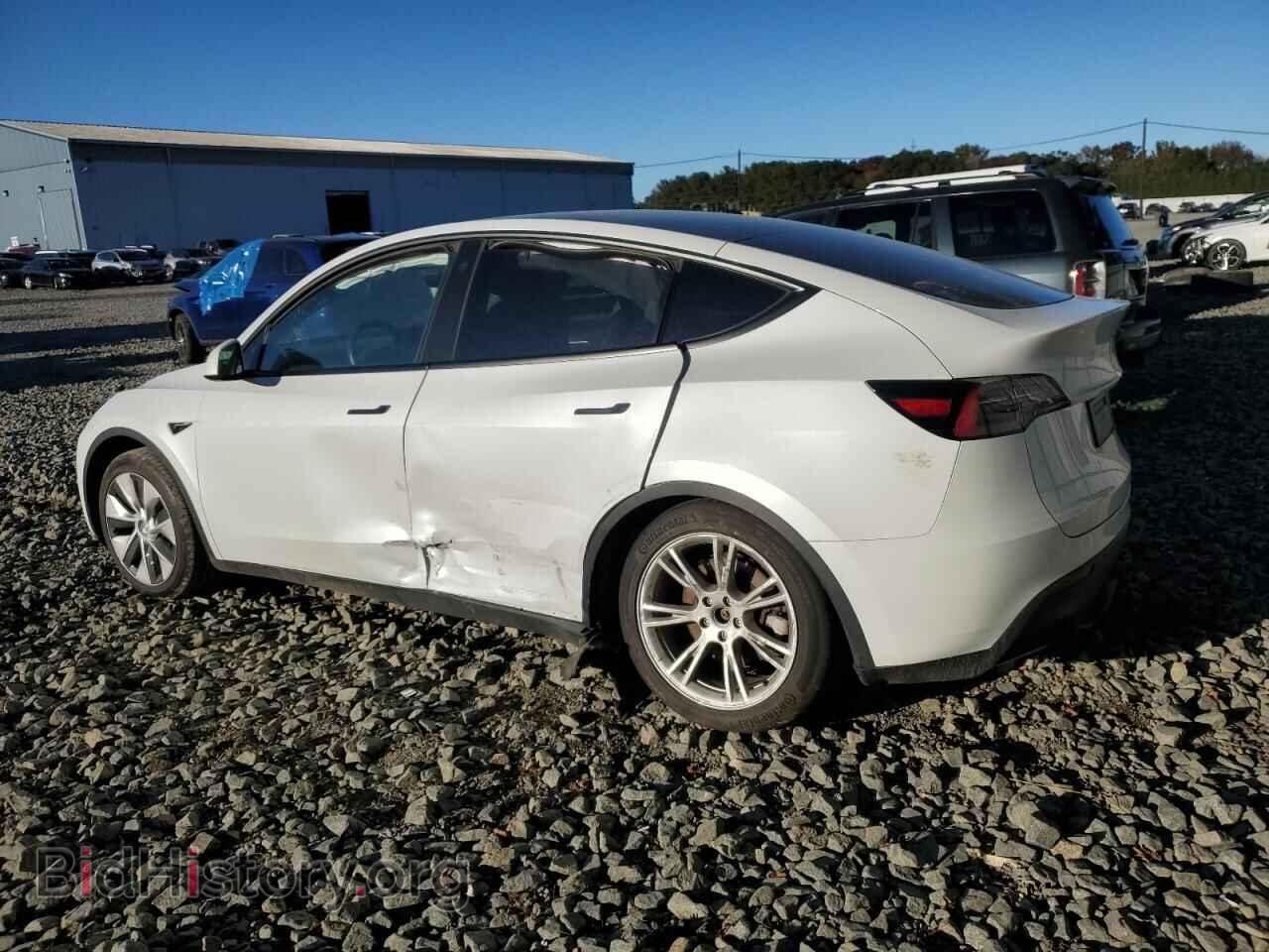 2023 TESLA MODEL Y - VIN: 7SAYGDEE9PF644380 - Фото 2
