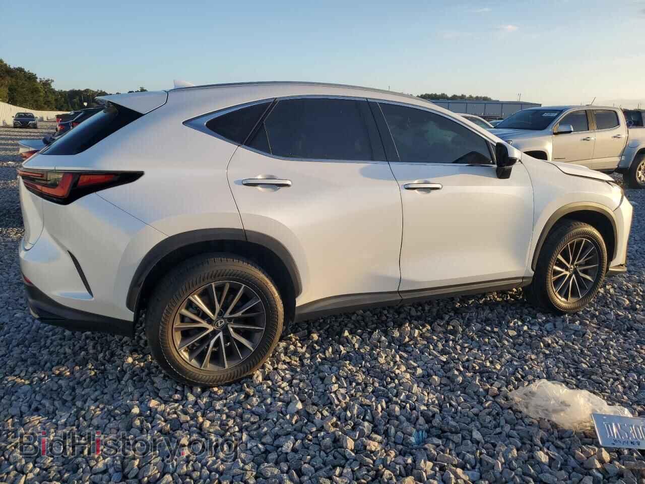 2022 LEXUS NX 350 - VIN: 2T2GGCEZ4NC004600 - Фото 3
