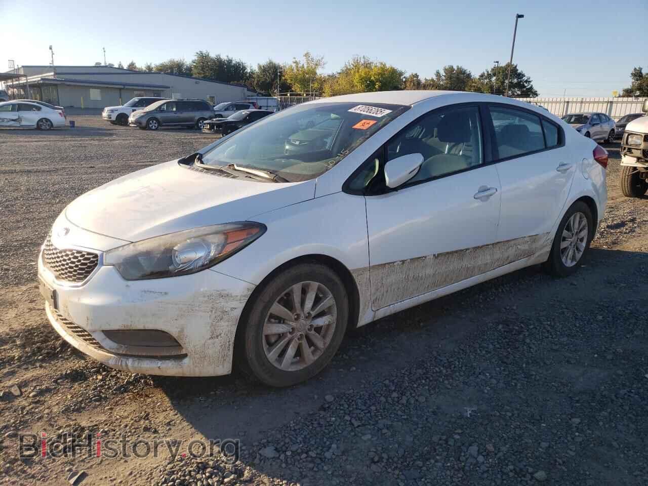 Фотография KNAFX4A67F5384089 - KIA FORTE 2015