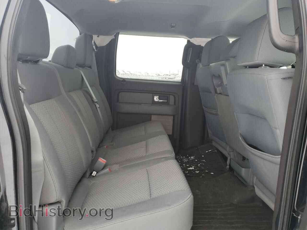 2013 FORD F-150 - VIN: 1FTFW1EF1DFB24423 - Фото 10