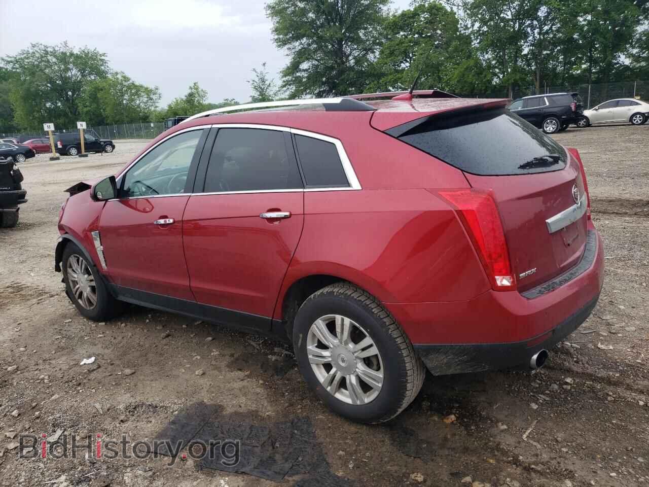 2011 CADILLAC SRX - VIN: 3GYFNAEY5BS510009 - Фото 2